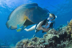 Young Woman and Wally by Steffen Binke 